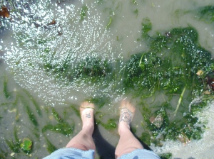 Toes in the water at Dungeness Spit